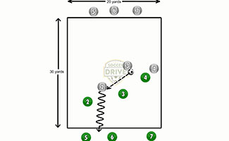 Multi Team Endzone Soccer Activity