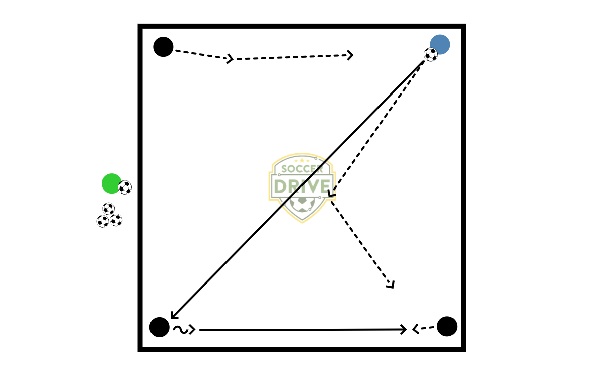 3v1 Grid           