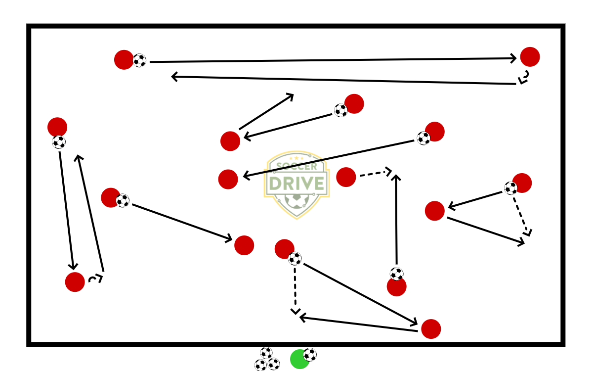 Partner Passing          