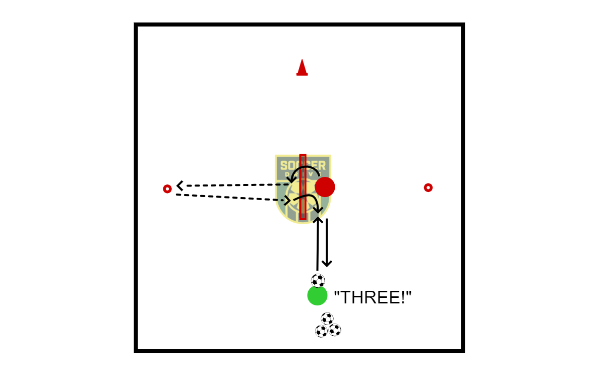 Agility and Skill Challenge           