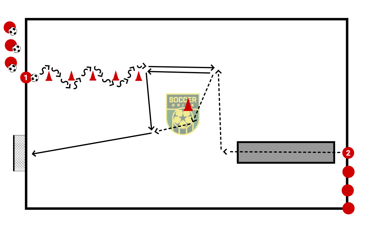 Skills Circuit w/Agility          