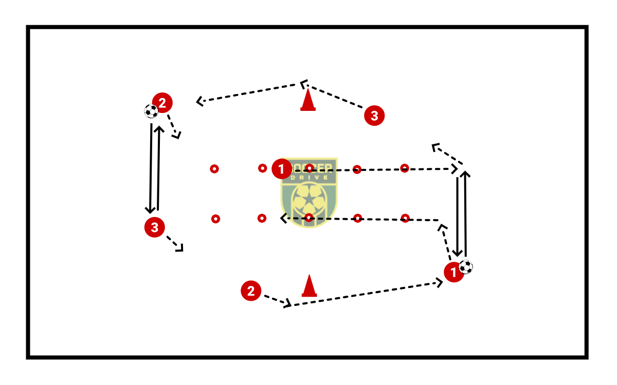 Speed/Agility Circuit          