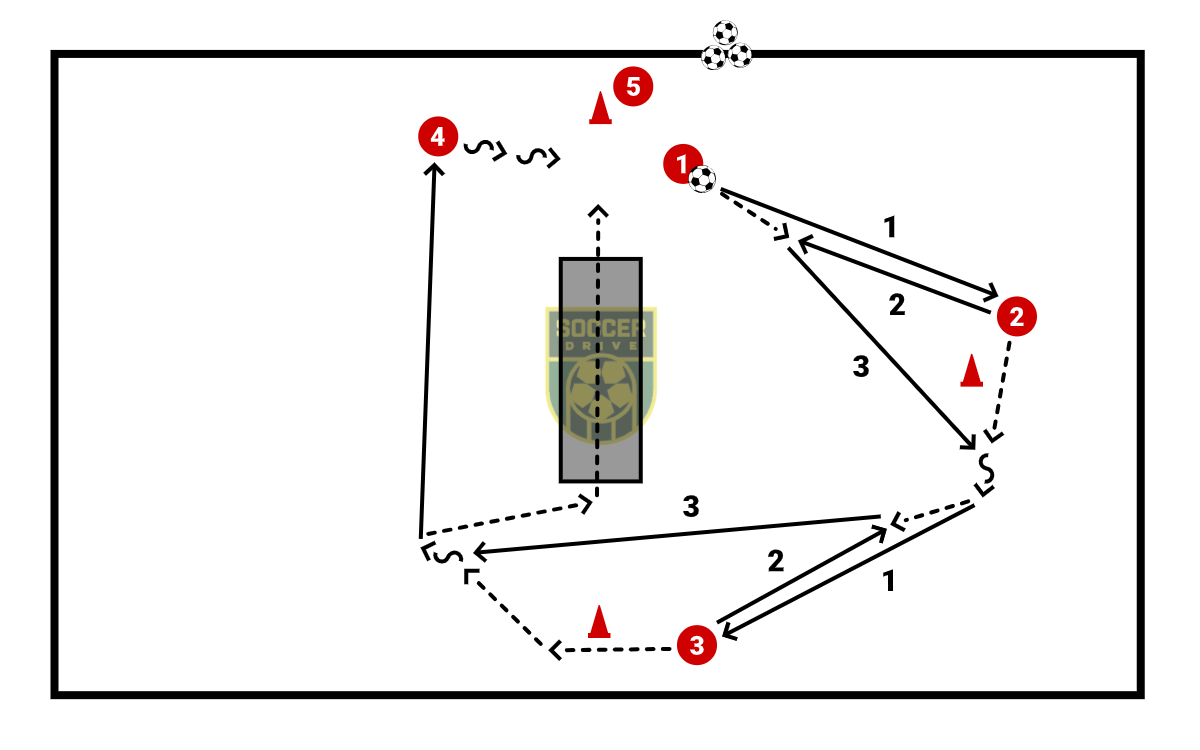 Passing/Agility Circuit          