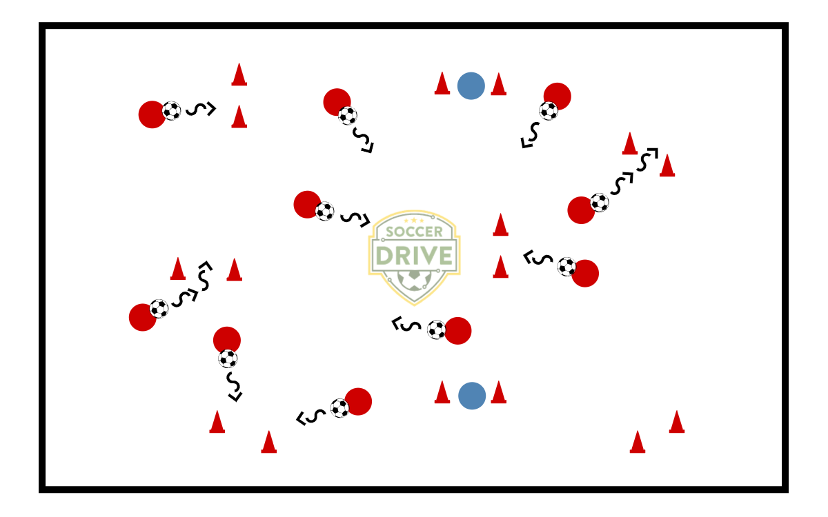 Gatekeepers - Soccer Dribbling Activity          