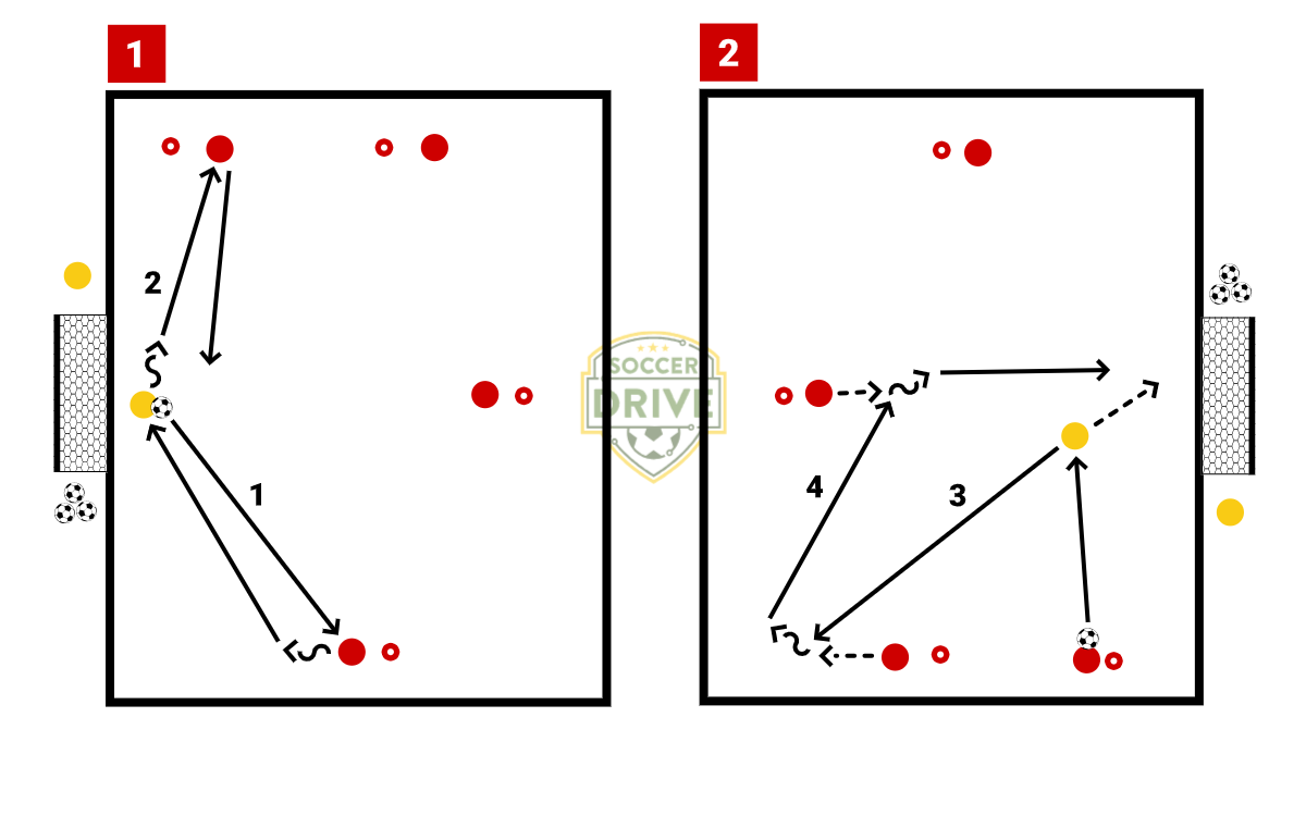 Goalkeeper Distribution          